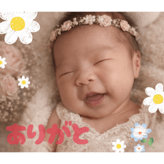 Cocoyui_20260202220837