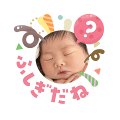 TAKAHANA_20260203103017