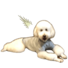 momitan_20260202221537