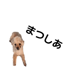 kotaro_20260131230608