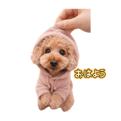 chiemii_20260202230026