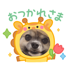 269_20260202230747