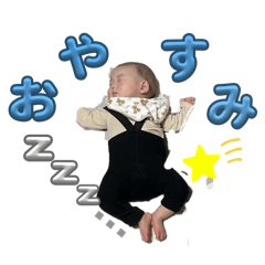 yk_20260203114526
