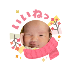 Pontaro_20260203103345