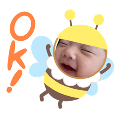 YOSIKO_20260203132909