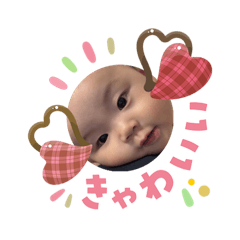 COCOHA_20260203133125