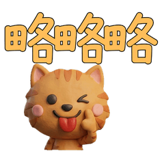 Taiwanese Red Tabby  39