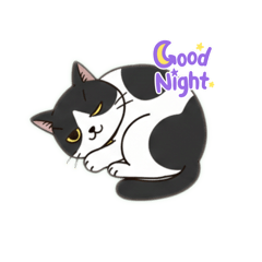 zuboramama,s_20260202184322