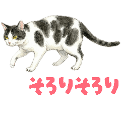 Colorful Cat Sticker Set