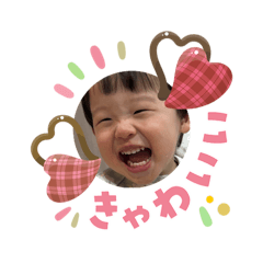 tatsu_20260203052645