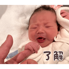 YA-MAN_20260203050844