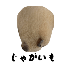 Liencourt_20260203053237