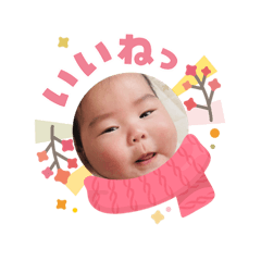 takao_20260203063118