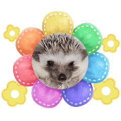 JURAmama_20260203120319