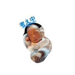 kotton_20260203121202