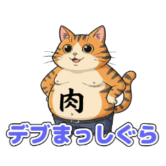 【毎日使える】愛嬌満点！むっちりデブ猫