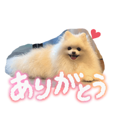 Merry_20260203100837