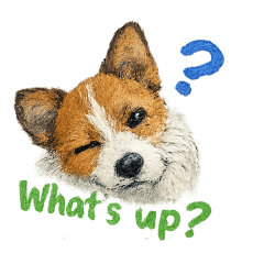 Jack Russell Terrier "ui"