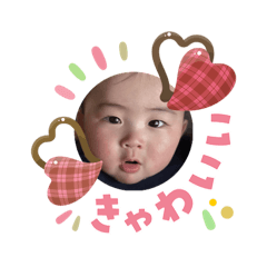 marina_20260203102750