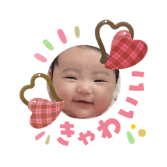 akiya_20260203102821