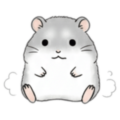 yamashikanai_20260203122310