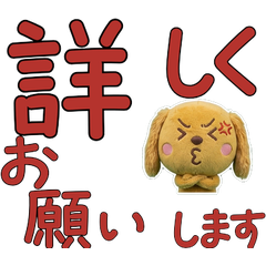 Moving Polite Cocker Spaniel  12