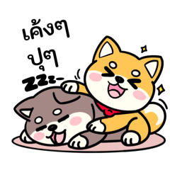 Praewa_20260202225002