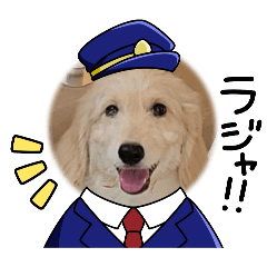 animal_20260201175048