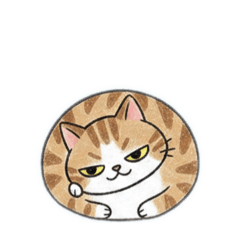 No-text stickers: Orange and white cat