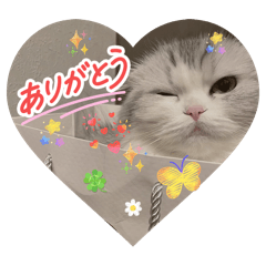 YUKINKO_20260203151321