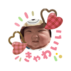 HAYA haru_20260203111803