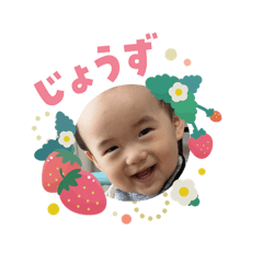 nanchu_20260203112526