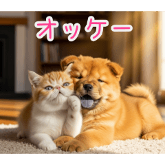 PAKAMOGOLY_20260203123736