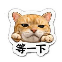 厭世貓的日常表情