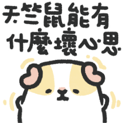 Zuby the Guinea Pig - Weird New Year