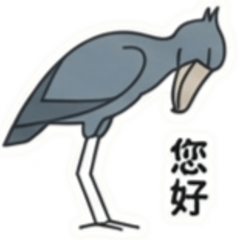 厭世鯨頭鸛：這就是人生