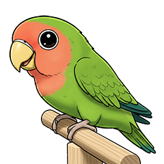 HAPPY Lovebird