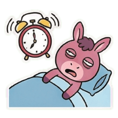 我有一隻小毛驢從來都不騎-大學生活篇