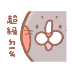 Cool Cat Everyday Essentials Edition