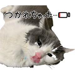 miyuu_20260203125253