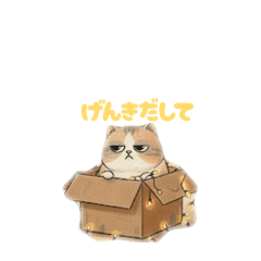 Alazycattryingitsbest to be encouraging.