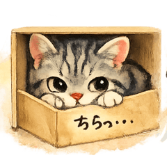 Doting Grandma_20260203123628