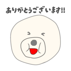 HINATABOCCO_20260203124738