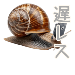 Snail's Polite Slow Excuses