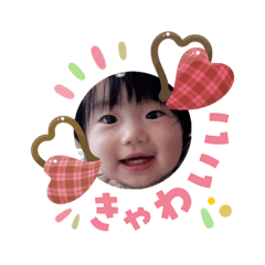 yucca_pon_20260203151247