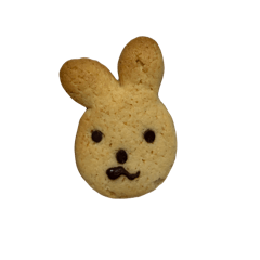 yoshida_20260201195127