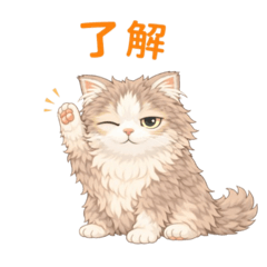 chanko_20260203155351