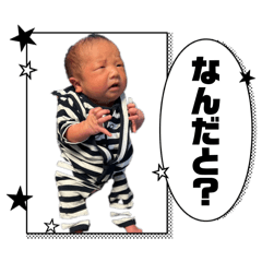 Nagataairi_20260203155847