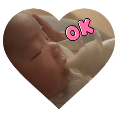 Yyyyyy_20260203160950