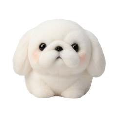 像玩偶一樣毛茸茸的北京狗